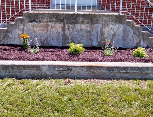 Redone Flower Bed