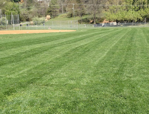 Freshly Mowed Ball Field