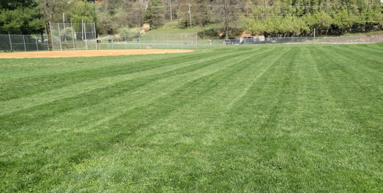 Ballfield Mow