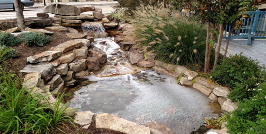 Custom Rock Goldfish Pond